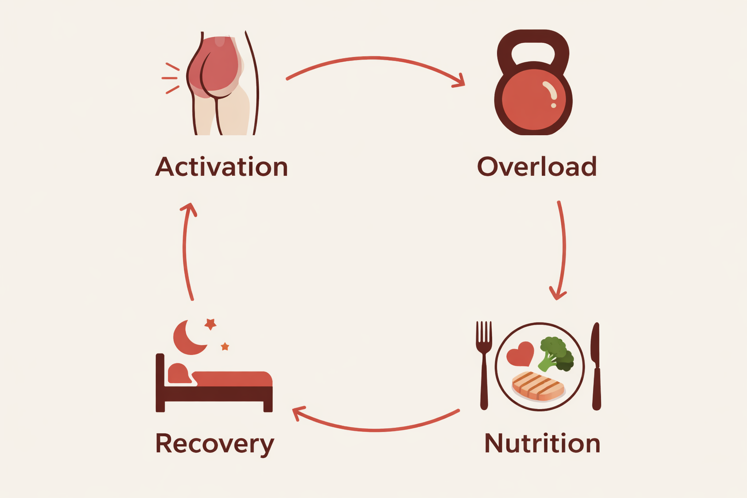 Diagram showing the four factors that determine glute growth: activation, overload, nutrition, and recovery